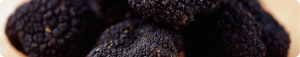 banner53