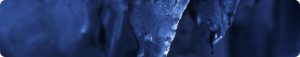 banner81