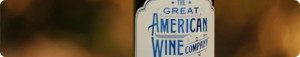 american company header
