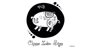 Year of the Pig 2019 S_S