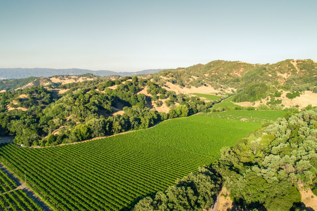 Rare, Entire American Viticultural Area (AVA) for Sale in Northern