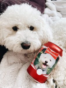 Budweiser Dog on Can